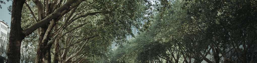 CreativeMarket banner for @rik
